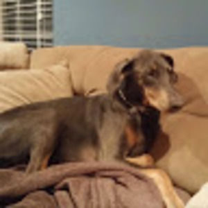 Meet your Posher, Vannah